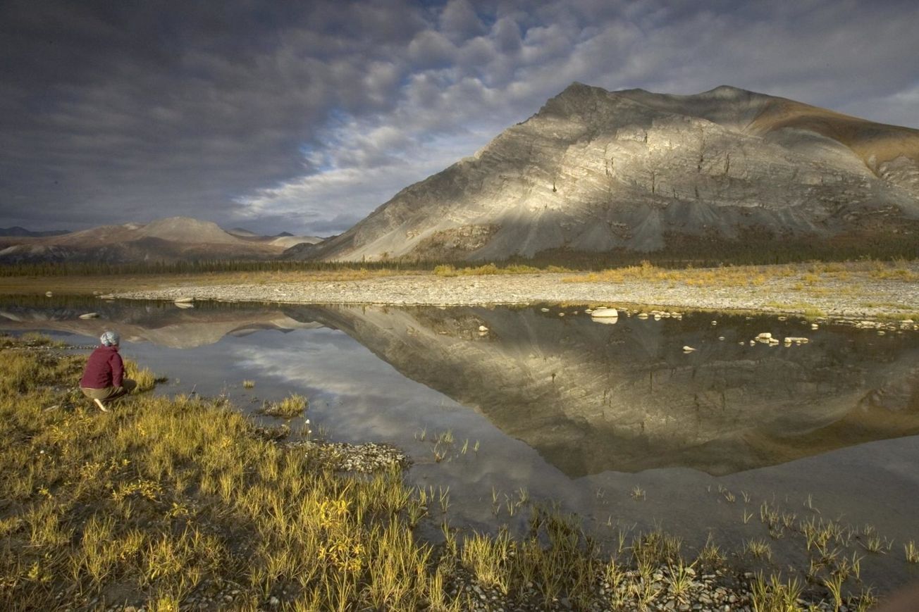 Alaska's Arctic National Wildlife Refuge 