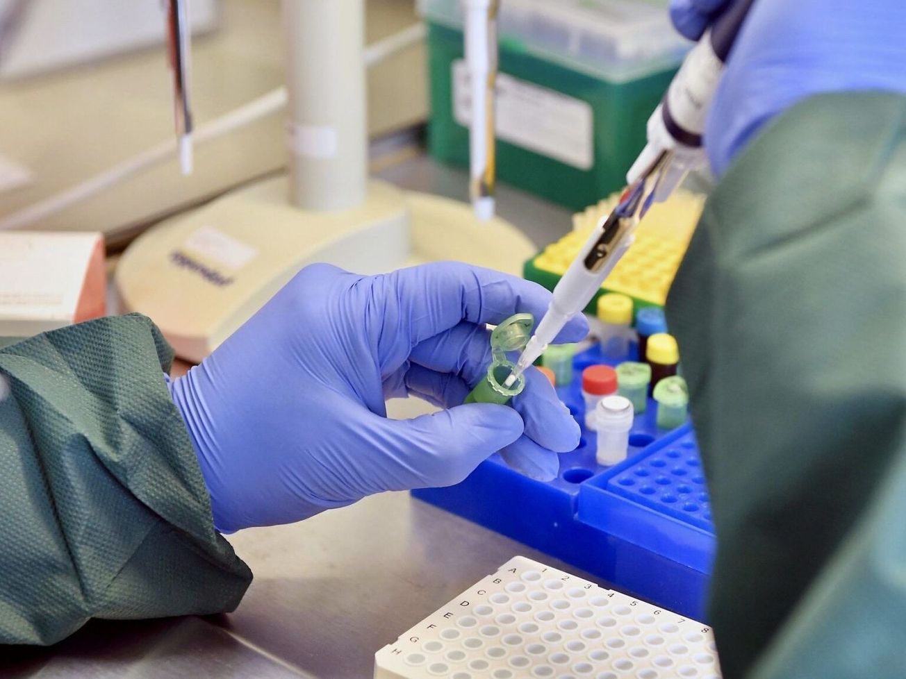 COVID-19 testing by a senior lab technician for a joint FAO/IAEA facility at Seibersdorf, Austria in May