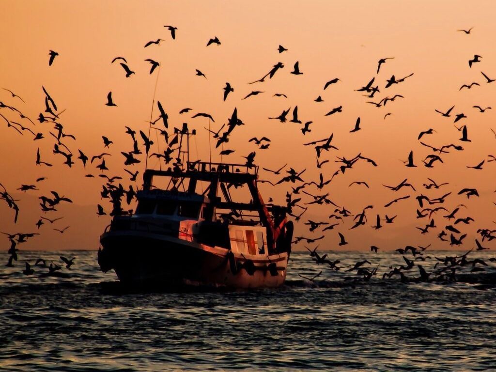 A fishing boat returns from a long day off the coast of Marbella, Spain