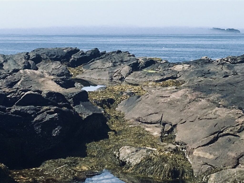 Ocean view from Pemaquid Point, Maine, where new laws on U.S. plastic pollution take effect in 2021