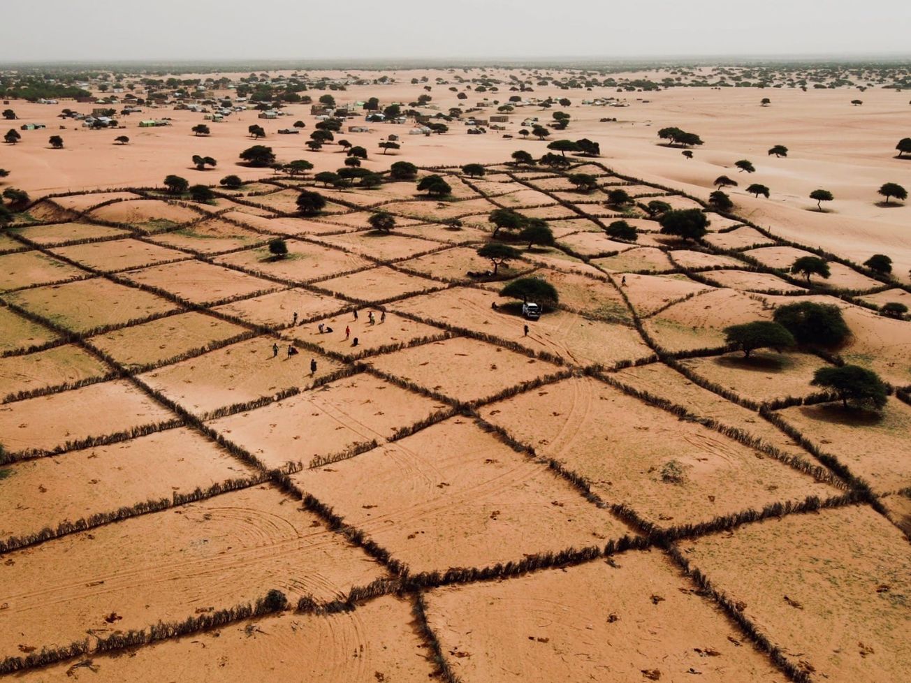 Techniques for land restoration in Africa's 'Great Green Wall' 