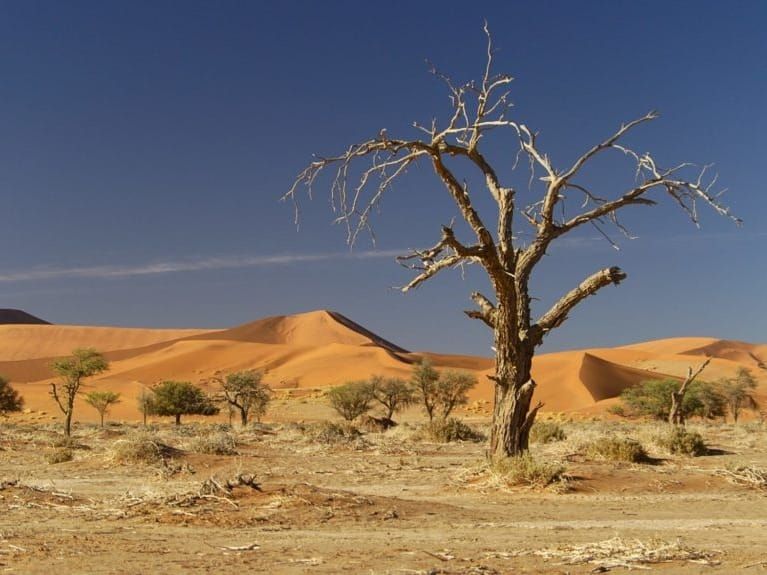 Desert dunes beyond an arid landscape near Gibeon in the Hardap region of Namibia