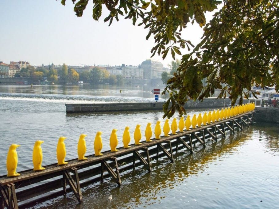 A Prague art installation of 34 yellow penguins made from recycled plastic bottles
