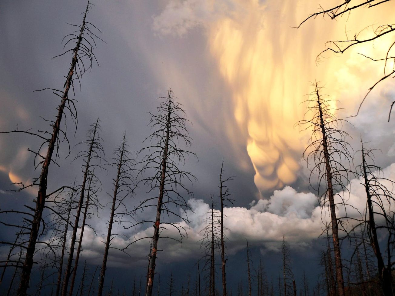 Human-caused climate change is accelerating