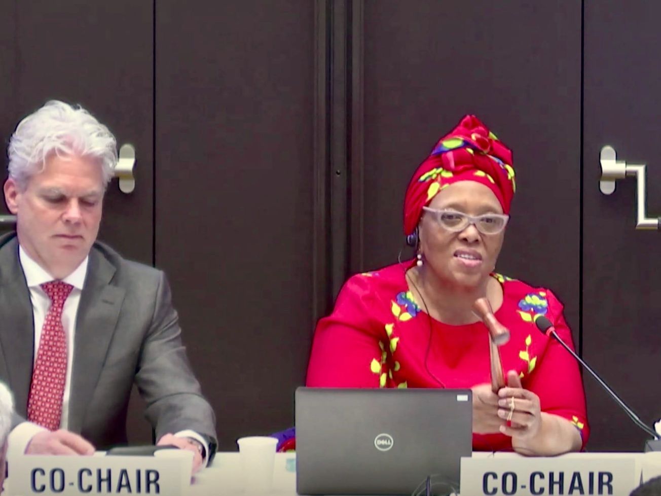 Panel co-chairs Roland Driece, left, and Precious Matsoso, right, end the final session.