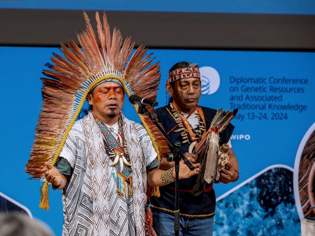 A presentation at WIPO's diplomatic conference in Geneva