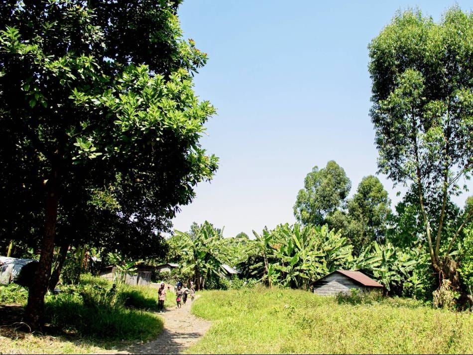 A North Kivu village in the Congo, which has been part of the Global Fund partnership since 2003