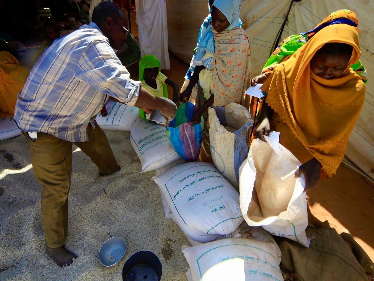WFP Sudan staff killed and injured as operations temporarily stopped