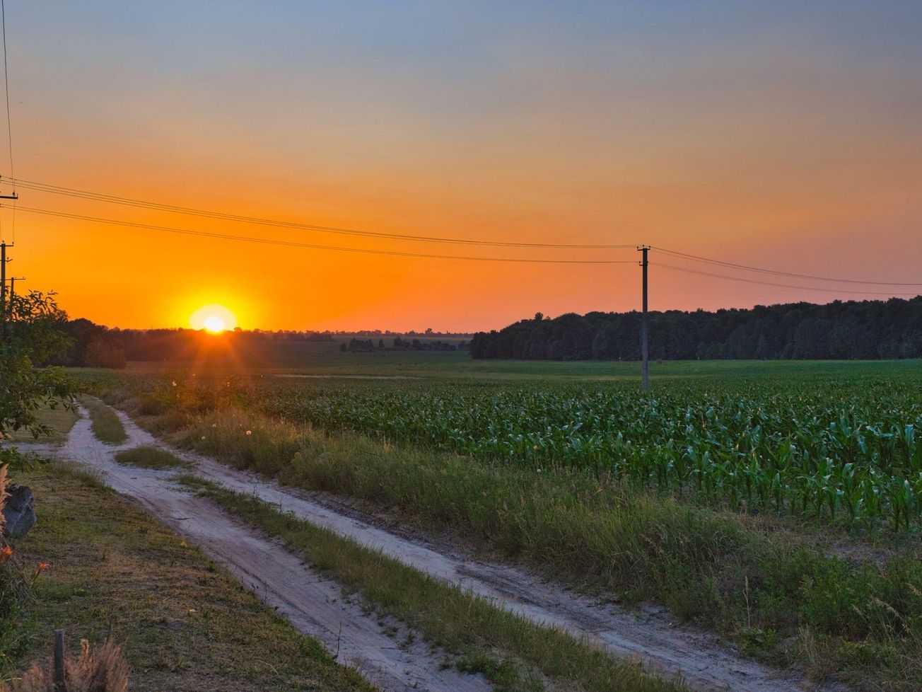 Corn accounts for half of all the Black Sea grain deal shipments so far.