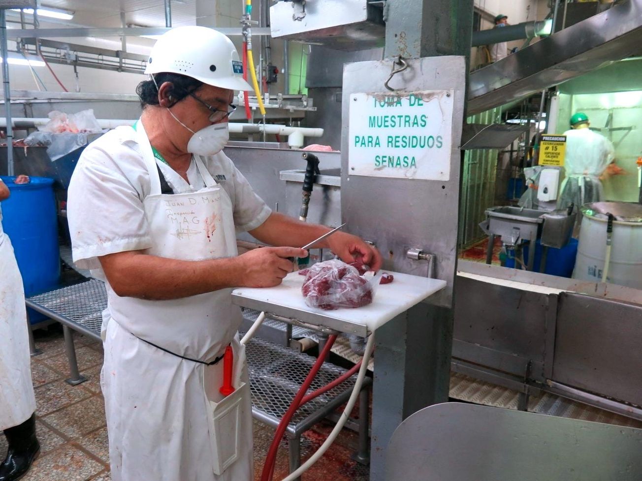 A veterinary inspector in Costa Rica prepares a meat sample using nuclear technology to ensure food safety