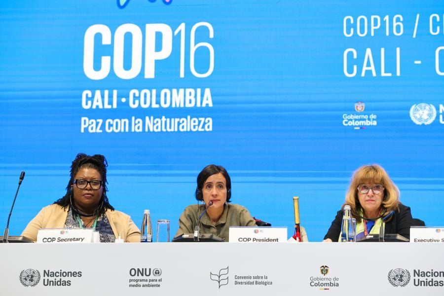 COP 16 President and Colombia's environment minister Susana Muhamad, center, heads biodiversity talks.