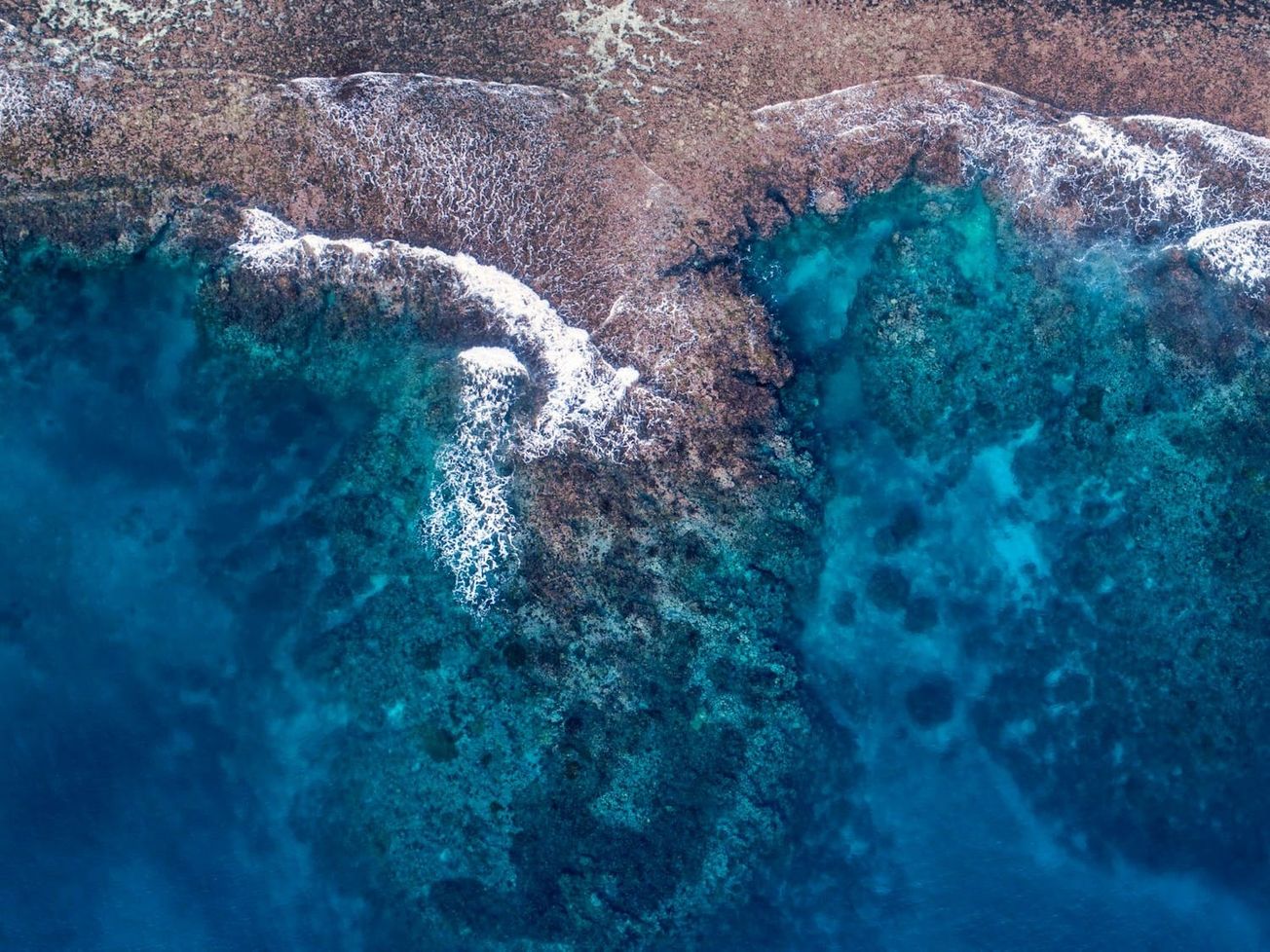 Vanuatu climate and rights case led by law students goes to world court