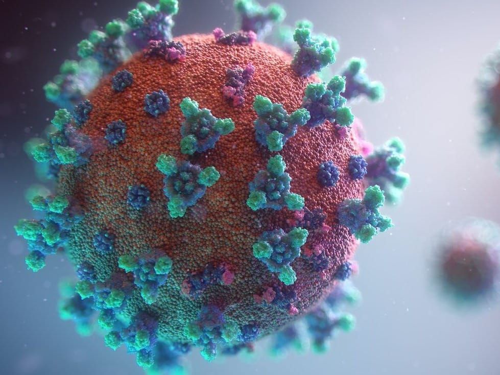 The World Health Organization issued its eagerly awaited "zero draft" proposal for a pandemic treaty