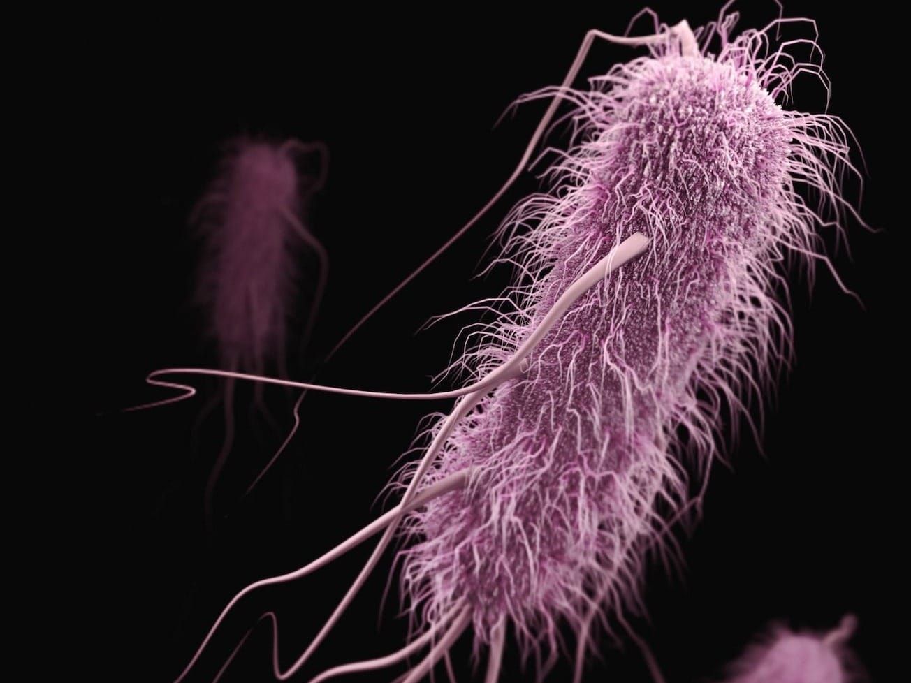 Antimicrobial resistant organisms are seen as a threat with more deadly potential than COVID-19