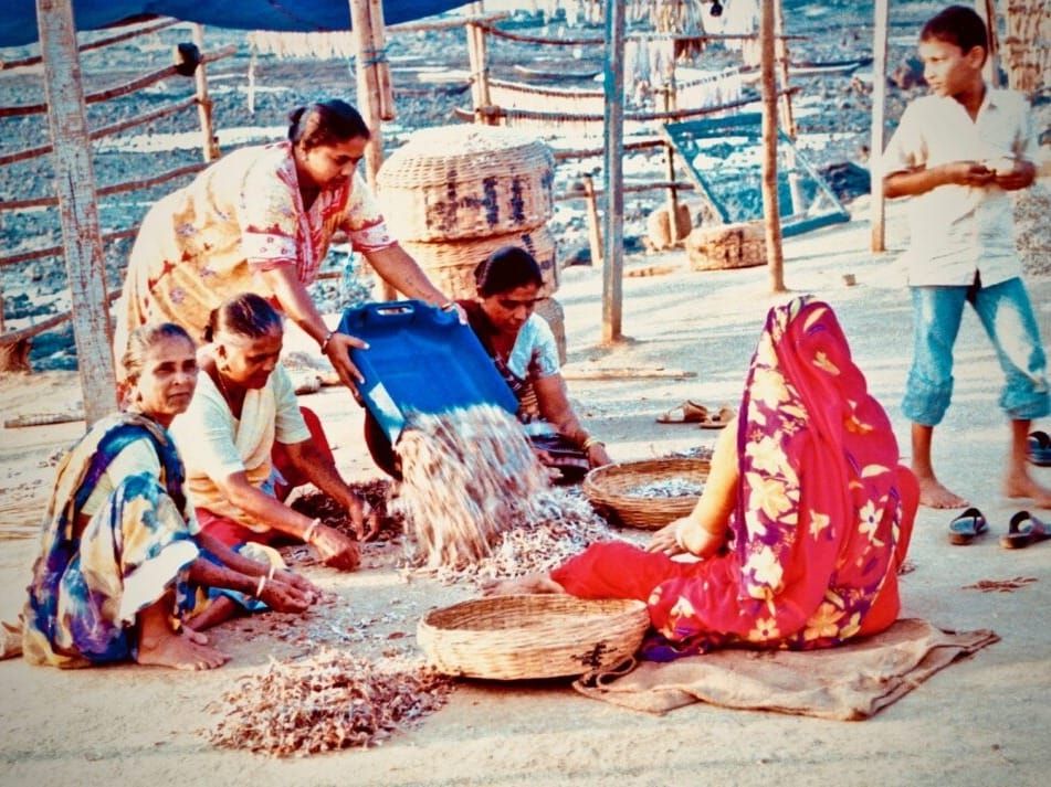 Gujarati fisherwomen at the Bandra fishing village