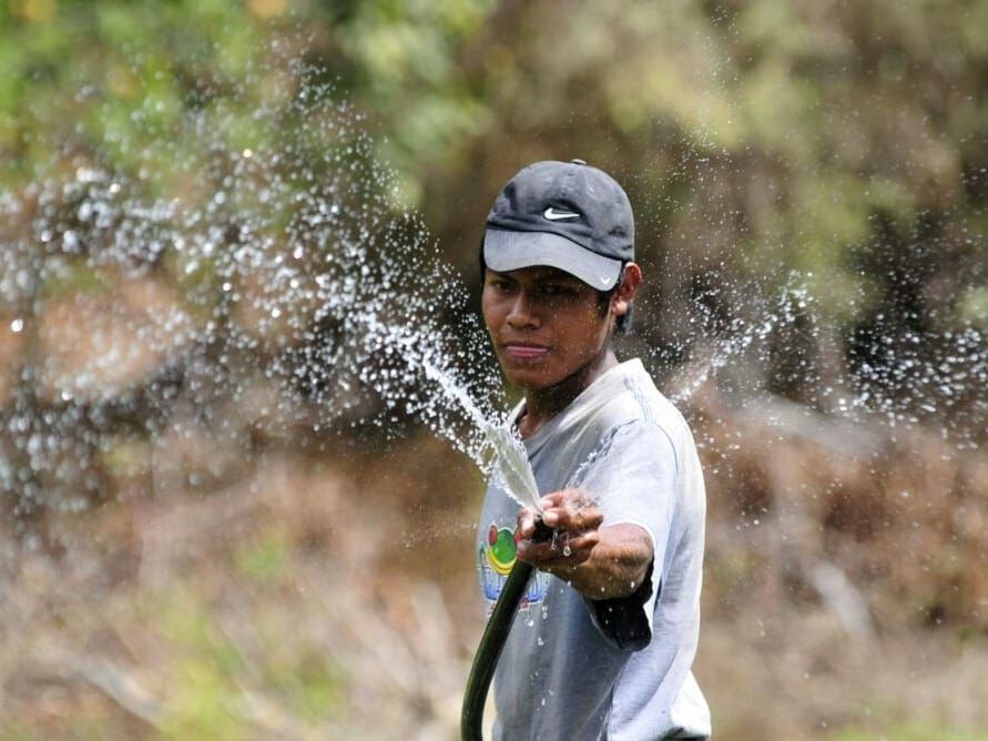 Food crops being irrigated during the dry season in drought-affected Nicaragua.