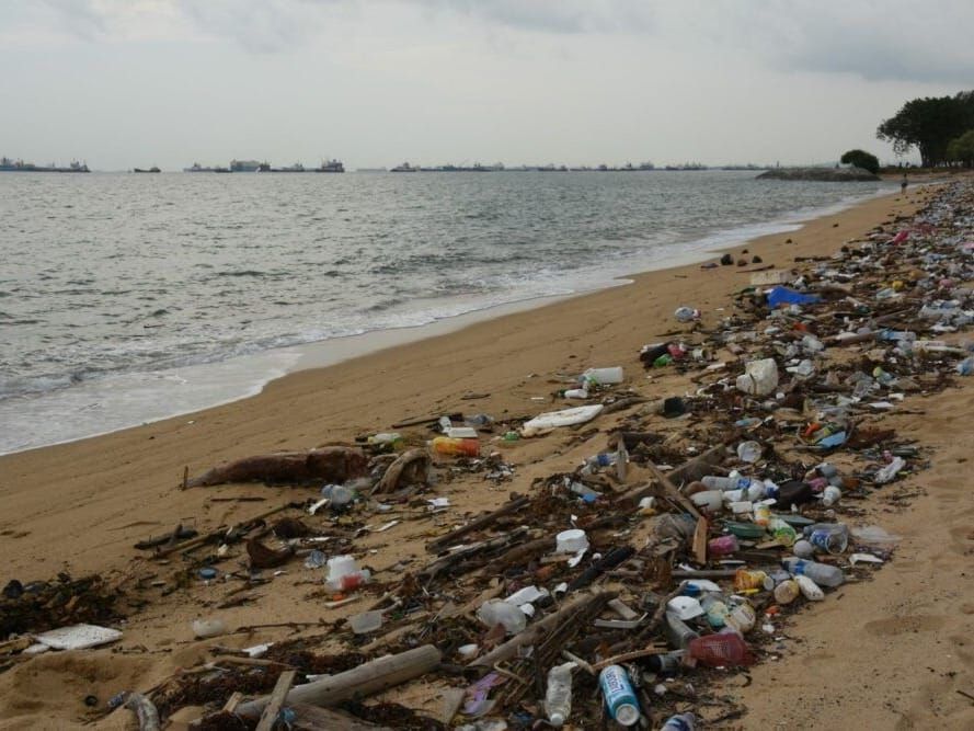 Litter along Singapore's East Coast Park.
