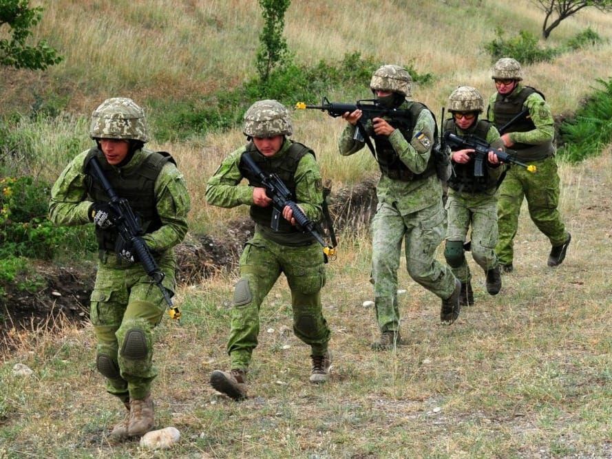 Ukraine infantry marines training in Georgia