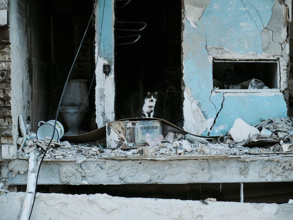 Four-in-five children live in poverty in Ukraine due to the destruction brought on by Russia's invasion