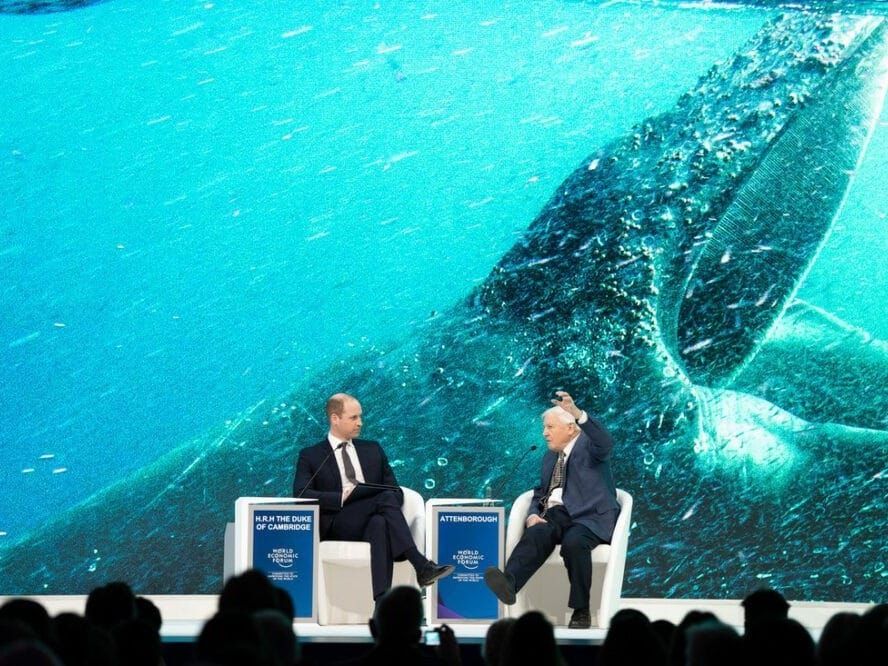 Prince William and Sir David Attenborough discuss environmental issues at Davos