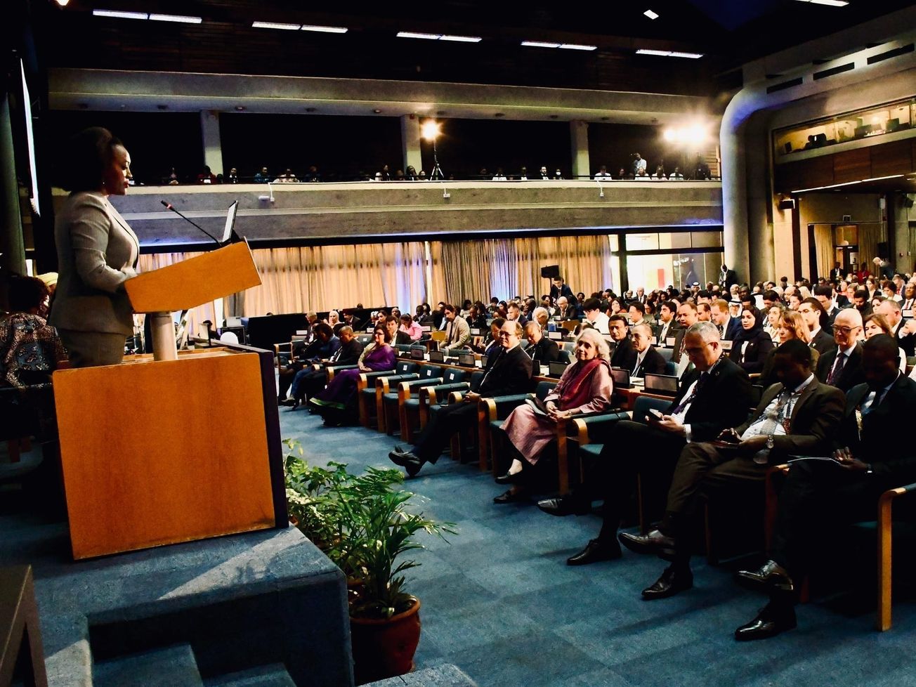 The world’s highest environmental decision-making body meeting in Nairobi.