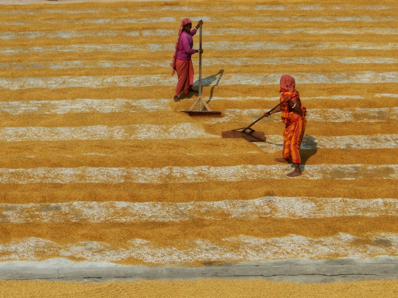 A third of the world's women work in agrifood systems s and in food storage, transportation and processing.