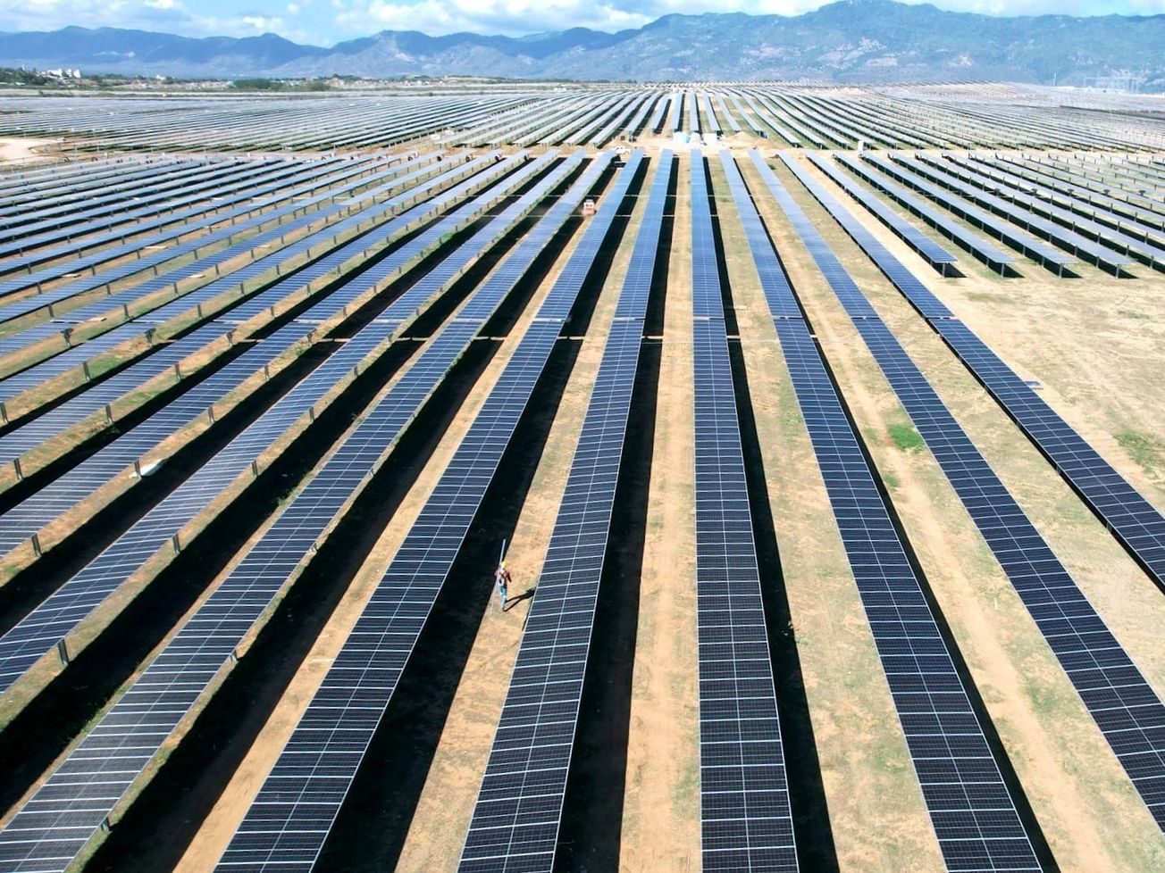 Renewable energy sources are expected to produce more than half of the world's electricity by 2030.