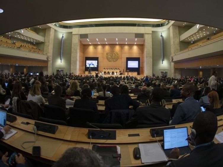 The U.N. refugee agency's executive committee meets in Geneva to end statelessness