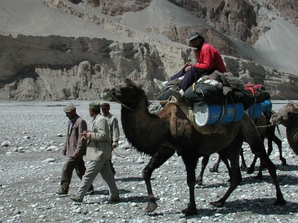 Uyghur camel drivers help an expedition in China's Xinjiang Province. 