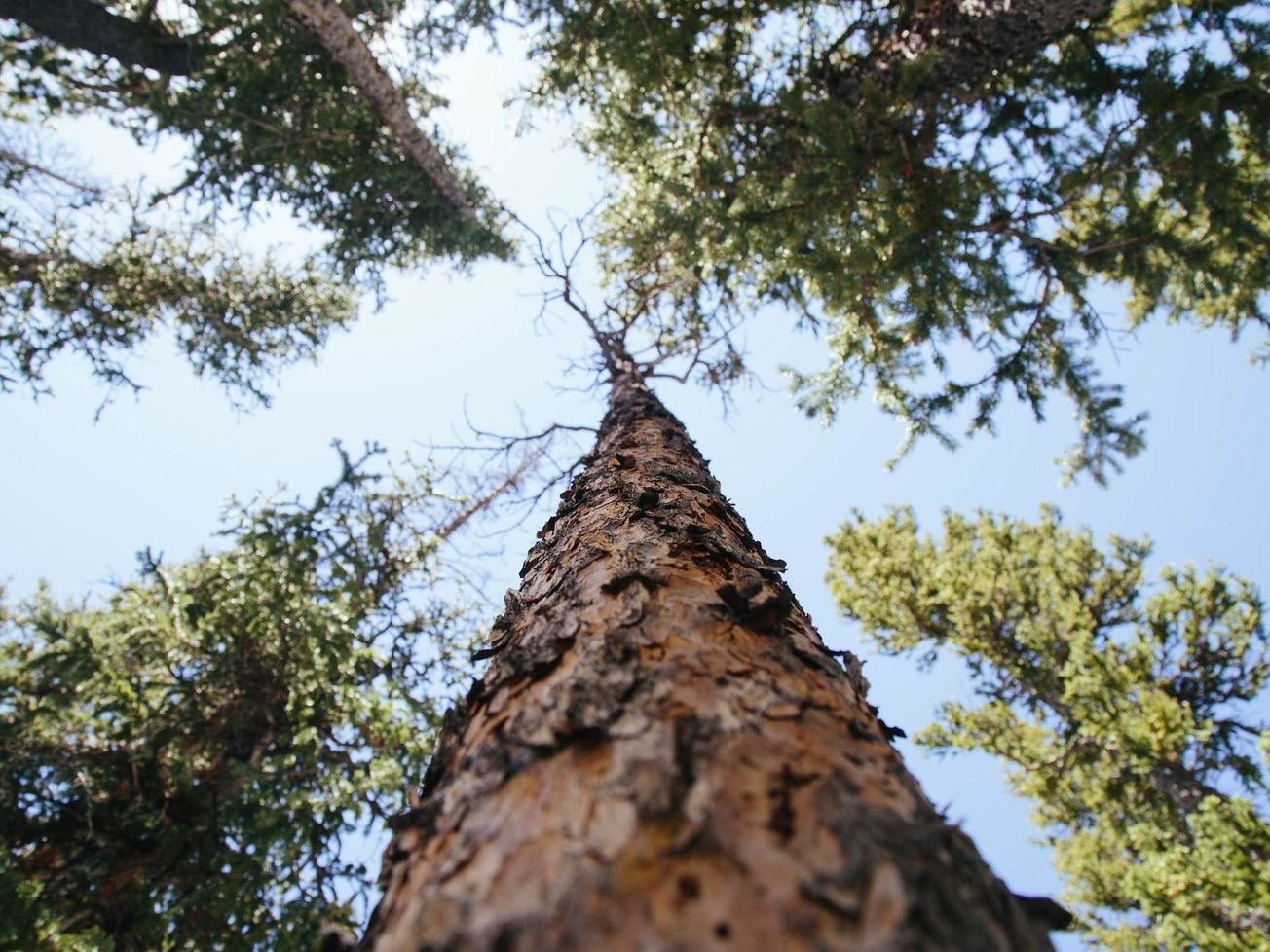 International organizations continue to look up despite lagging progress toward the 2030 Global Goals