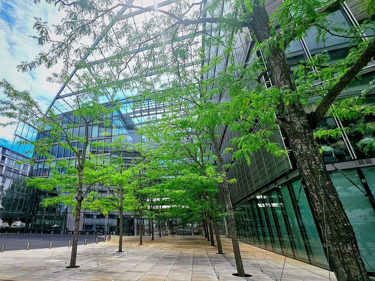 The Swiss foundation is headquartered at Campus Biotech in Geneva.