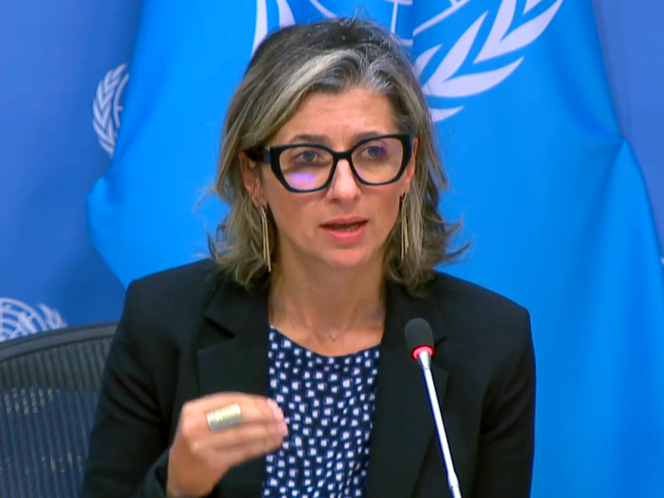 Italian legal scholar and human rights lawyer Francesca Albanese operates under the Special Procedures of the U.N. Human Rights Council.
