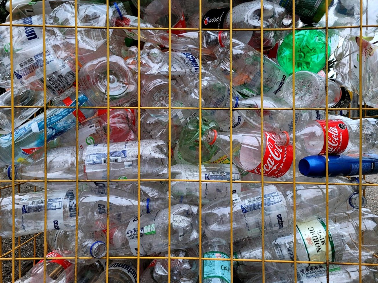 Geneva's plastic treaty talks at make-or-break moment for ocean health