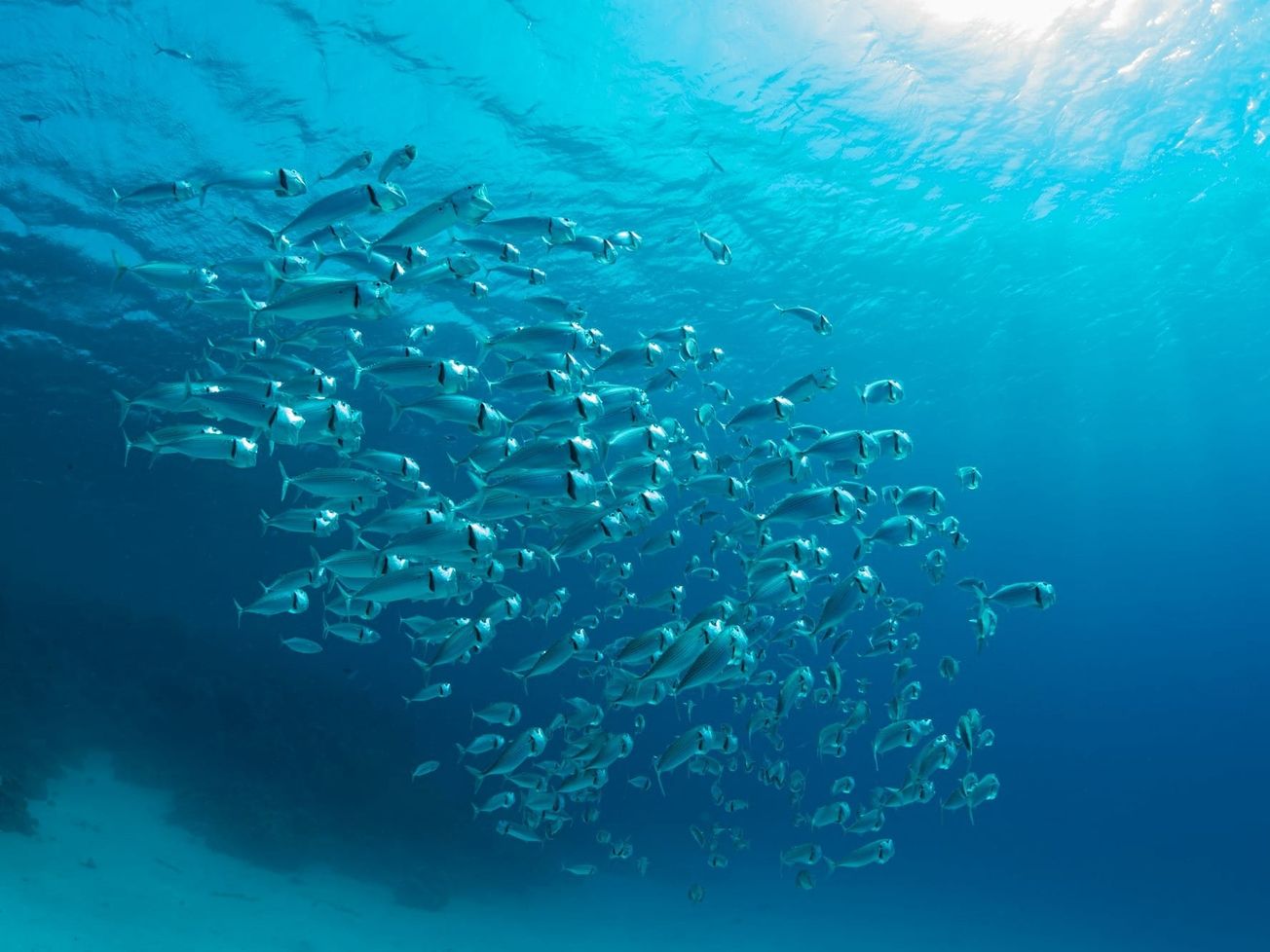 The treaty is nearing the 60 nations needed to take effect. 