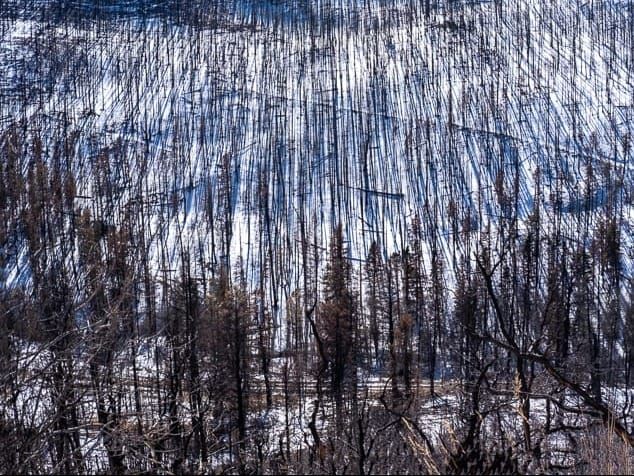 A mountainside in northern New Mexico left desolate by U.S. wildfire.
