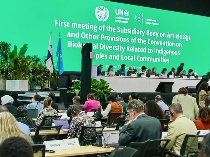 Efforts to elevate the voices and roles of Indigenous peoples and local communities came to fruition at a first meeting as part of a new U.N. panel. 