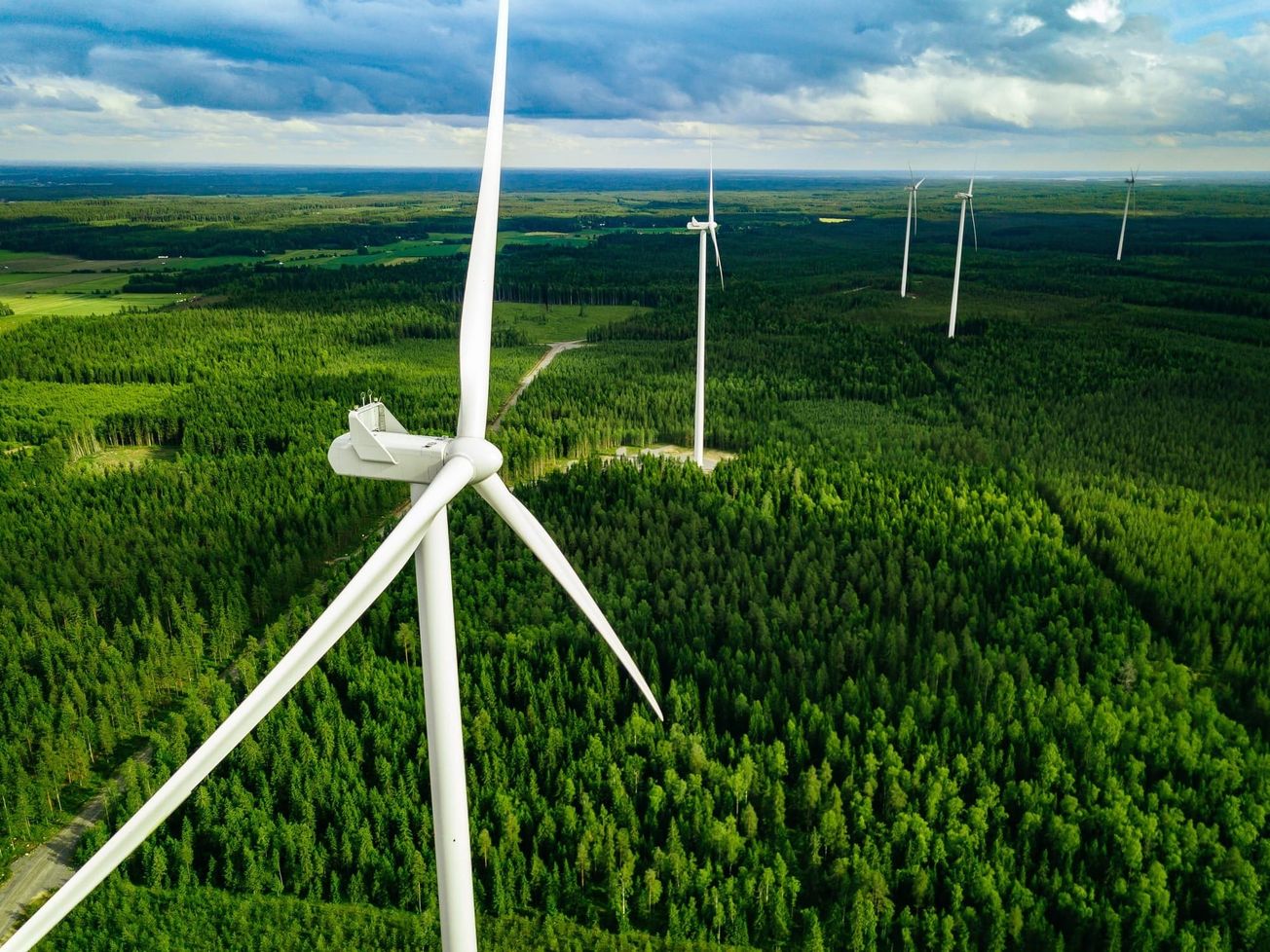 Wind turbines rise above a forested landscape, underscoring the growing intersection between clean energy development, land use, and biodiversity protection.