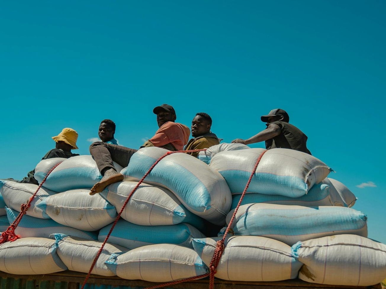 Experts attribute a reported decline in the total numbers of those going hungry around the world to less reporting rather than to any improvement in the situation.