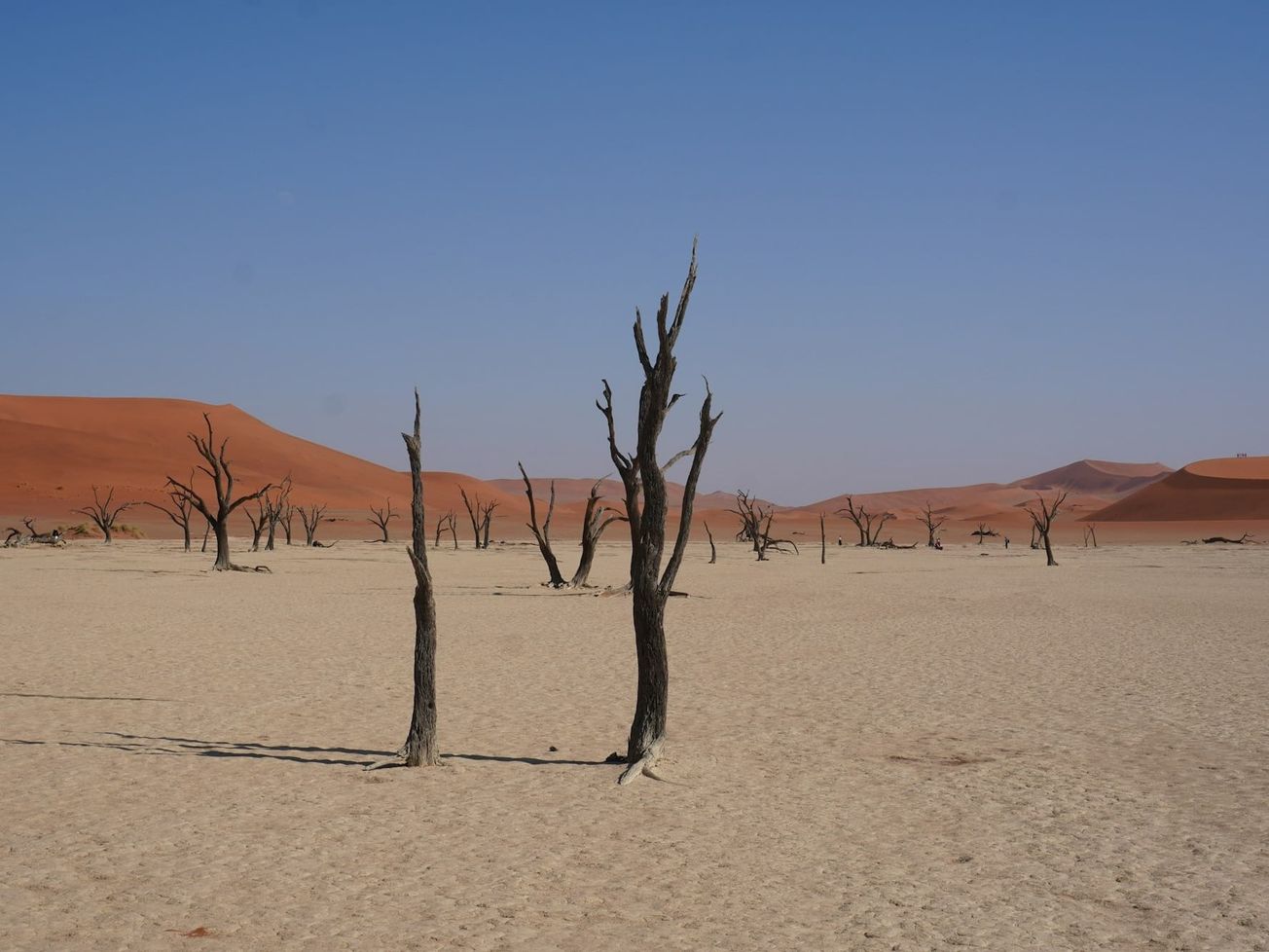 The Ulaanbaatar Initiative, led by Mongolia’s capital, will test a system allowing cities to measure and report land degradation.