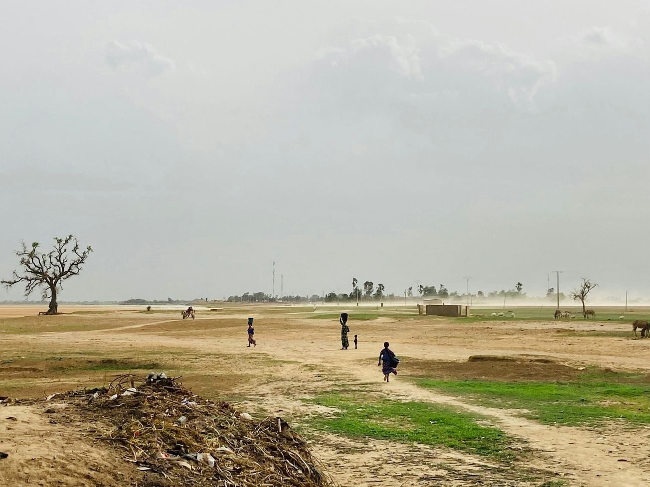 The next session of the U.N. Convention to Combat Desertification Conference of the Parties, COP18, is expected to take place in Egypt, in 2028.