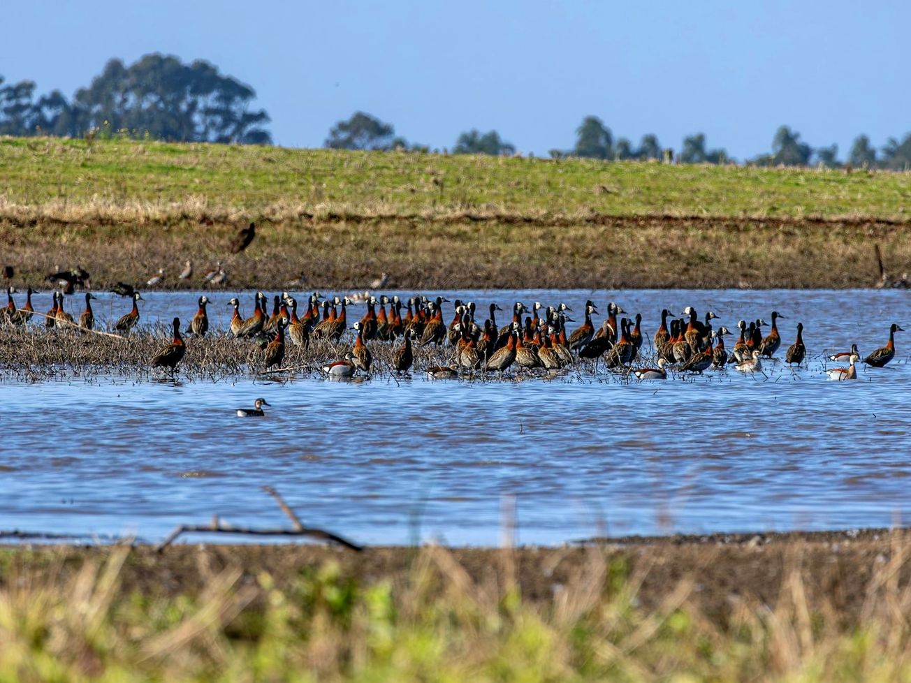 A new U.N. report will inform the first global review of collective progress under the Kunming-Montreal Global Biodiversity Framework at a summit in Armenia from Oct. 19-30, 2026.
