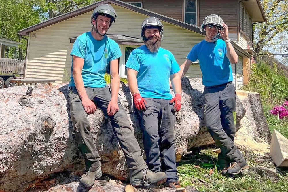 Forrester Barry Helps New Glarus Area Trees Thrive