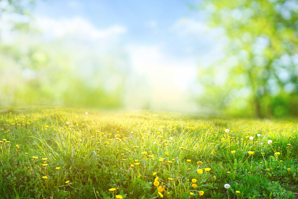 15 Things to Do in New Glarus This Spring