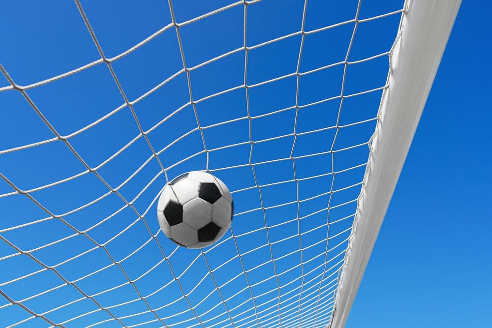 Raiders Strengthen Postseason Position with Win Over Delavan-Darien