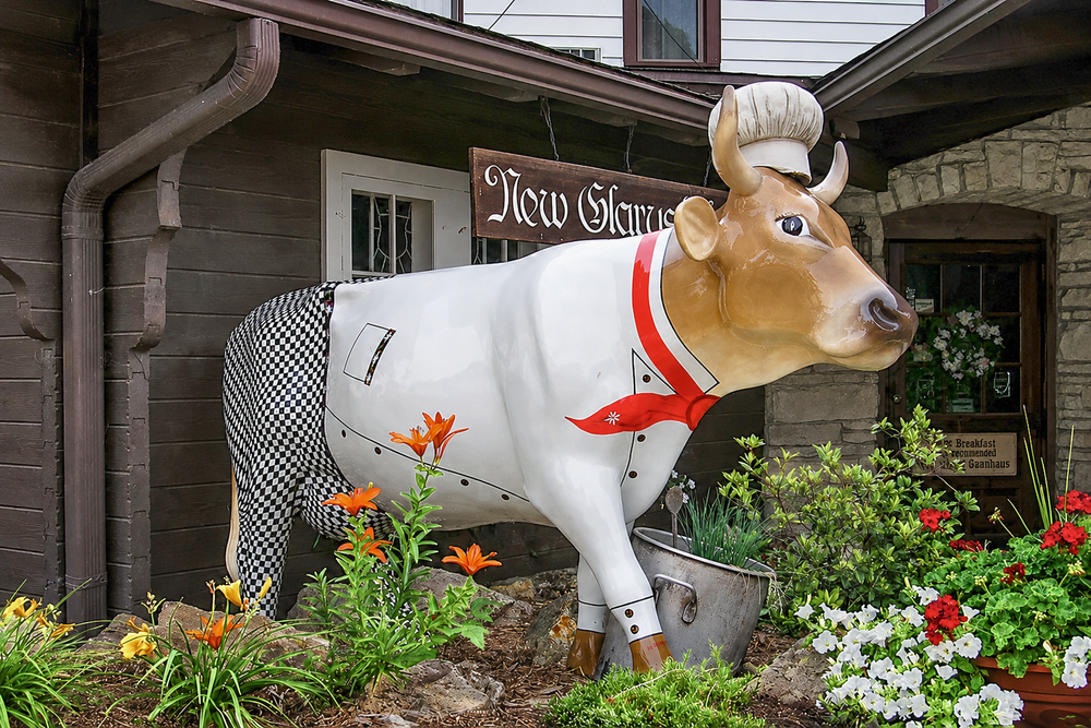 New Glarus Hotel Master Chef Cow Returns Home to New Glarus