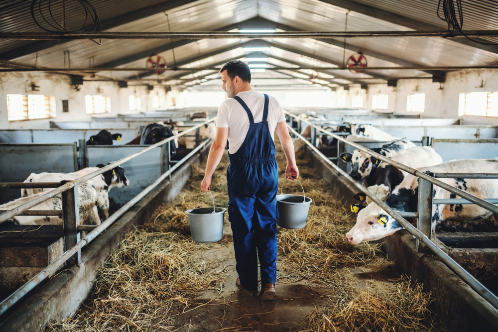On the Horizon: When Dairy No Longer Needs a Cow