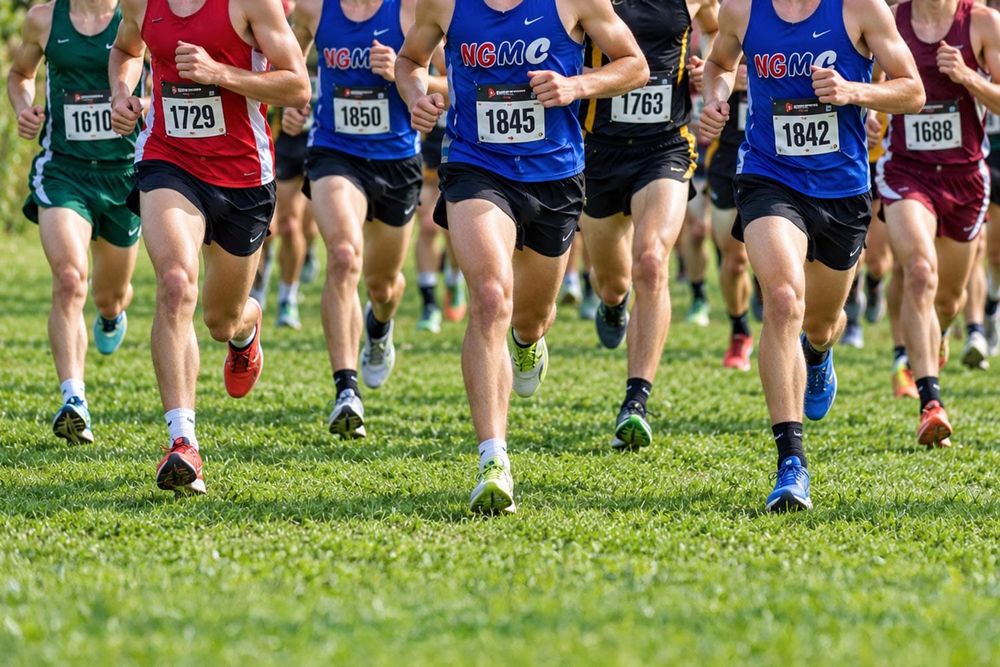 New Glarus-Monticello Girls 3rd at Dana Waddell Invite, Boys 5th