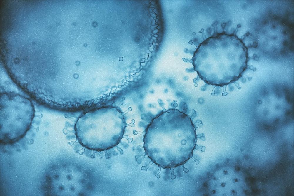UPDATE: Measles Outbreak Grows, Green County Still in the Clear