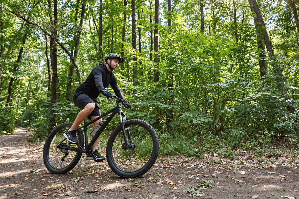 New Glarus Woods State Park Is Starting to Get Noticed