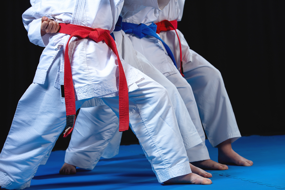 New Glarus Martial Artists Head to Diamond Nationals